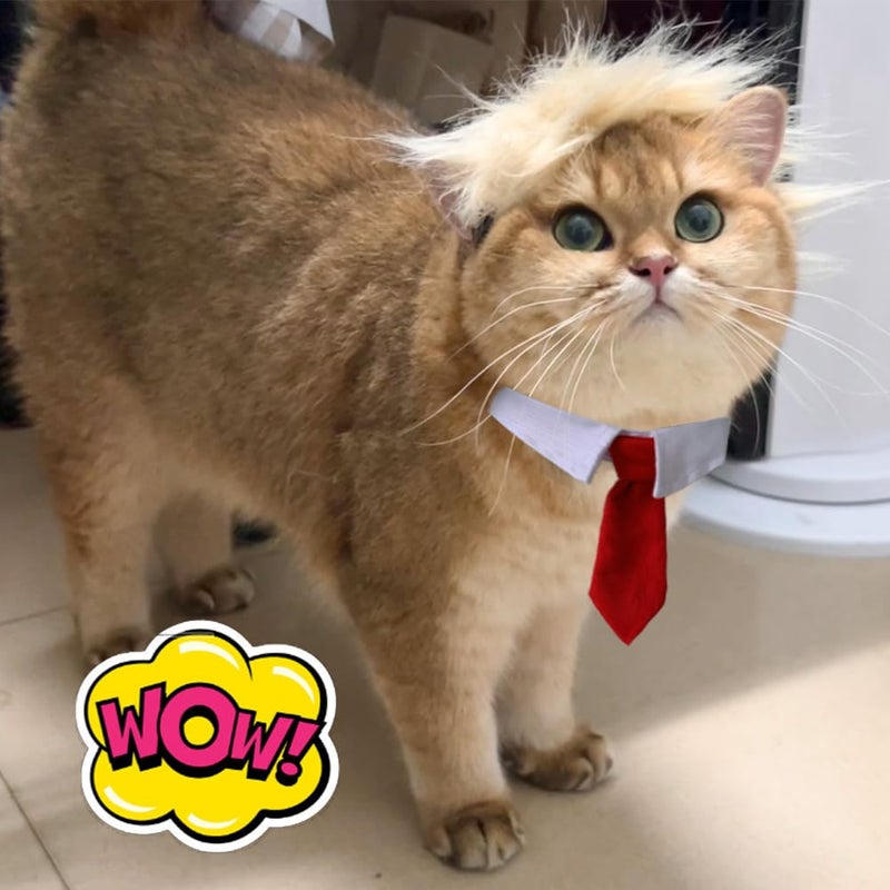 MESINURS Trump Style Pet Costume Dog Wig, Dog Clothes with Collar & Tie Head Wear Apparel Toy for Halloween, Christmas, Parties, Festivals (Light Brown with Tie) - Image 5